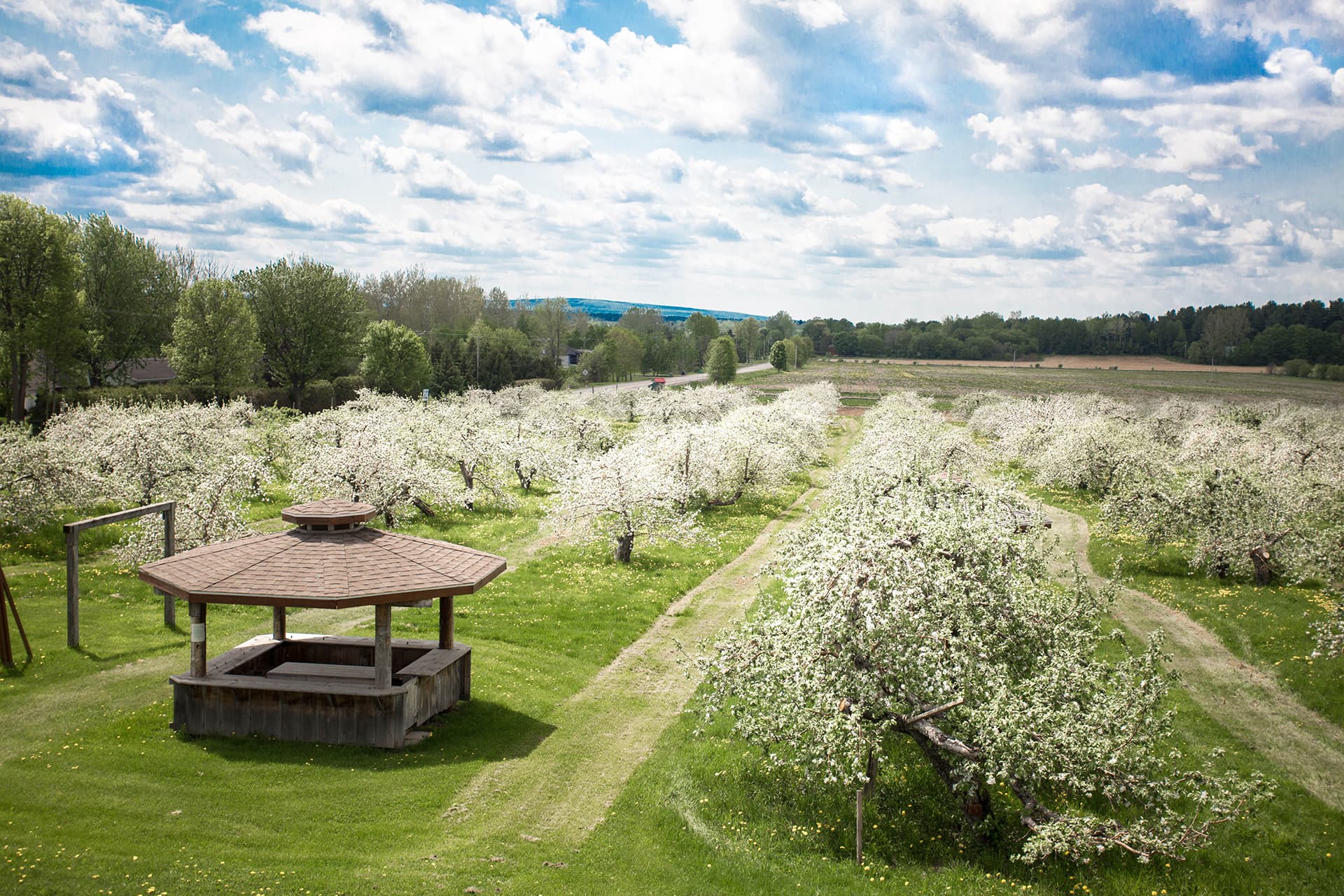 Les Jardins-de-Napierville