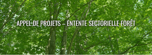 Entente sectorielle de la forêt – Appel de projets