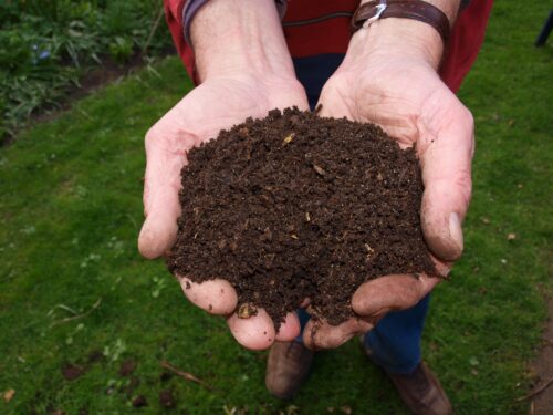 Distribution de compost : préparez votre jardin avant l’hiver