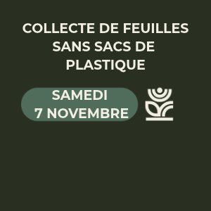 Une collecte de feuilles sans sacs de plastique